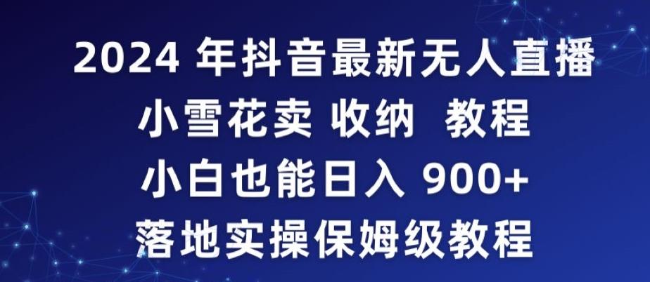 2024年抖音最新无人直播小雪花卖收纳教程，小白也能日入900+落地实操保姆级教程【揭秘】-彼飞网创