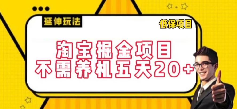 淘宝掘金项目，不需养机，五天20+，每天只需要花三四个小时【揭秘】-彼飞网创