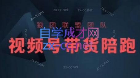 狼团联盟·2024视频号带货-彼飞网创