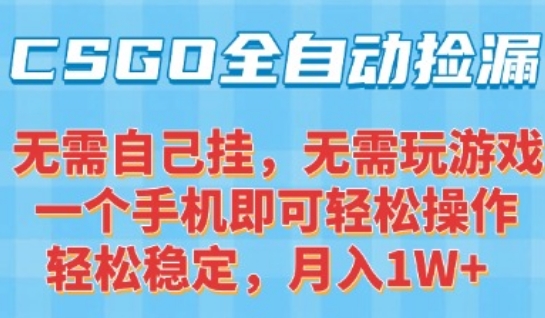 CSGO自动捡漏项目，最新独家玩法，一个手机可操作，新手小白轻松月入1W+，操作简单易上手【揭秘】-彼飞网创