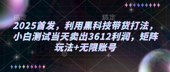 2025首发，利用黑科技带货打法，小白测试当天卖出3612利润，矩阵玩法+无限账号【揭秘】-彼飞网创