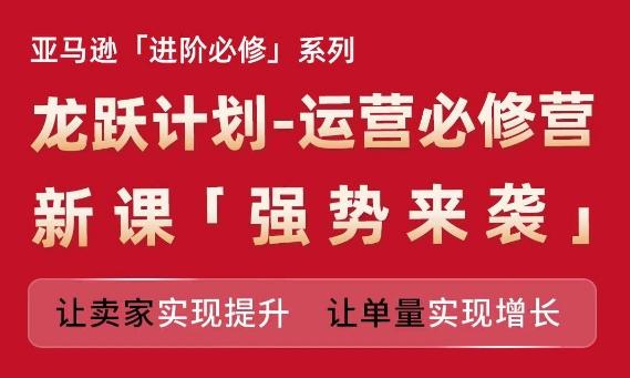 亚马逊进阶必修系列，龙跃计划-运营必修营新课，让卖家实现提升 让单量实现增长-彼飞网创