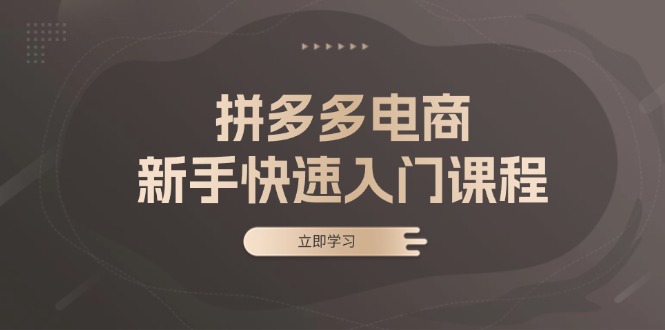 拼多多电商新手快速入门课程：涵盖基础、实战与选款，助力小白轻松上手-彼飞网创