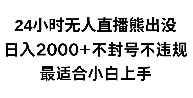 快手24小时无人直播熊出没，不封直播间，不违规，日入2000+，最适合小白上手，保姆式教学【揭秘】-彼飞网创