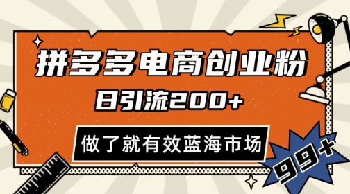 拼多多引流电商创业粉，日引200+，可矩阵放大，做了就有效【揭秘】-彼飞网创