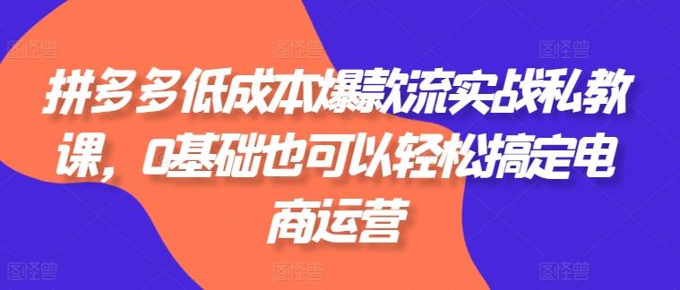 拼多多低成本爆款流实战私教课，0基础也可以轻松搞定电商运营-彼飞网创