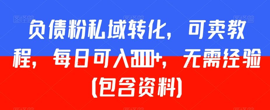 负债粉私域转化，可卖教程，每日可入2000+，无需经验（包含资料）【揭秘】-彼飞网创