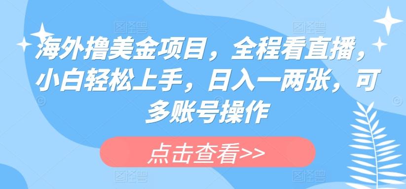 海外撸美金项目，全程看直播，小白轻松上手，日入一两张，可多账号操作【揭秘】-彼飞网创