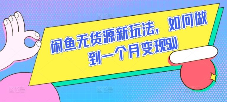闲鱼无货源新玩法，如何做到一个月变现5W【揭秘】-彼飞网创