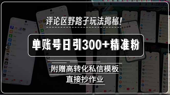 评论区野路子玩法揭秘！单账号日引300+精准粉，附赠高转化私信模板，直…-彼飞网创