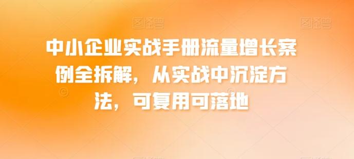 中小企业实战手册流量增长案例全拆解，从实战中沉淀方法，可复用可落地-彼飞网创