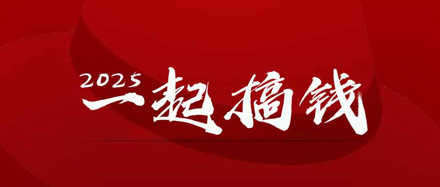 2025年，请“不择手段”去搞钱!-彼飞网创