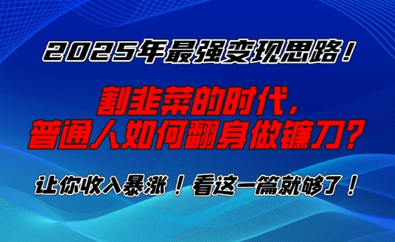 2025年最强变现思路，割韭菜的时代， 普通人如何翻身做镰刀？【揭秘】-彼飞网创