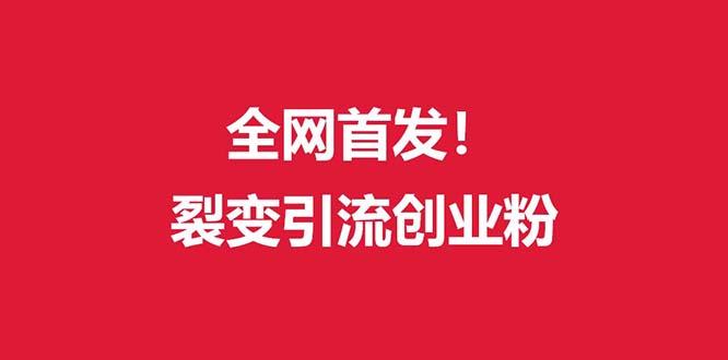 (全网首发)外面收费几千的裂变引流高质量创业粉-彼飞网创