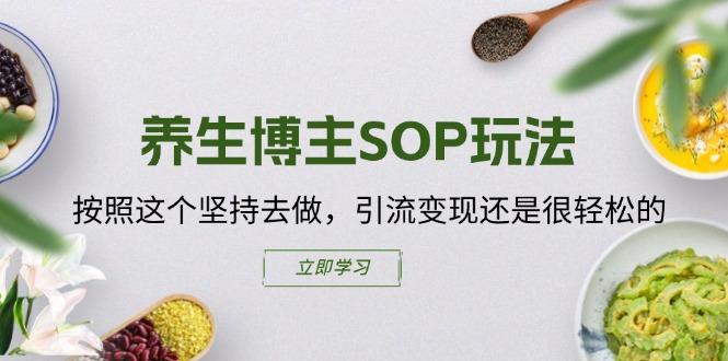 养生博主SOP玩法，按照这个坚持去做，引流变现还是很轻松的-彼飞网创