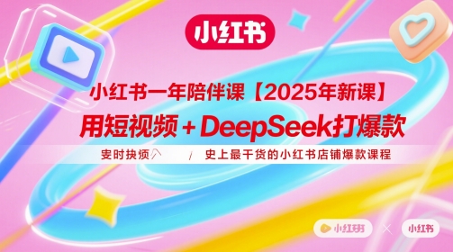 小红书一年陪伴课【2025年新课】，用短视频+deepSeek打爆款，史上最干货的小红书店铺爆款课程-彼飞网创