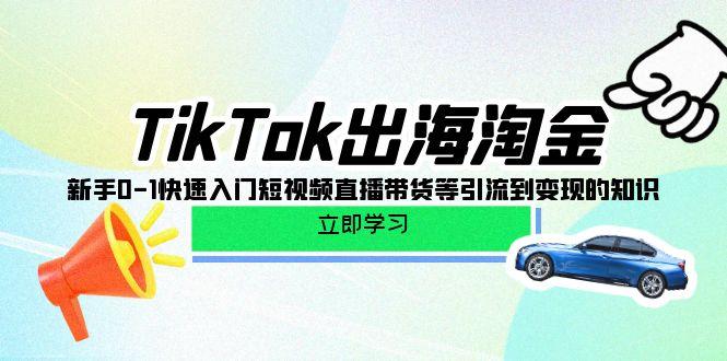 (10035期)TikTok-出海淘金，新手0-1快速入门短视频直播带货等引流到变现的知识-彼飞网创