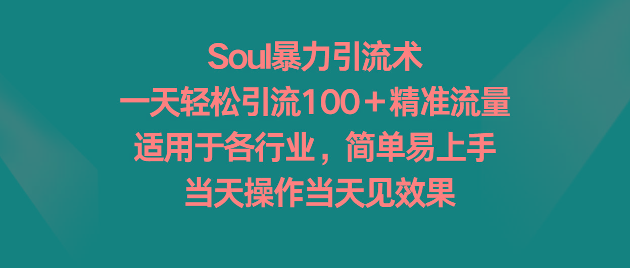 Soul暴力引流术，一天轻松引流100＋精准流量，适用于各行业，简单易上手！-彼飞网创