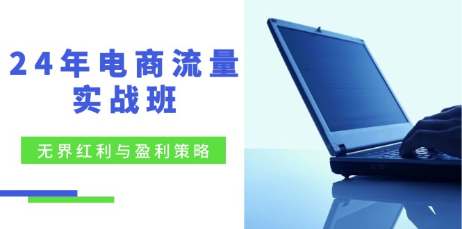 24年电商流量实战班：无界 红利与盈利策略，终极提升/关键词优化/精准…-彼飞网创