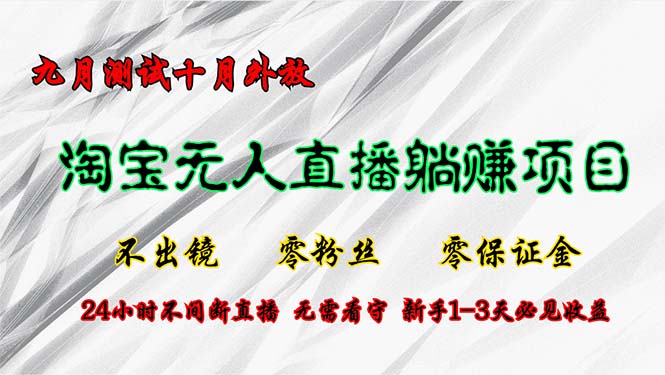 淘宝无人直播最新玩法，九月测试十月外放，不出镜零粉丝零保证金，24小…-彼飞网创