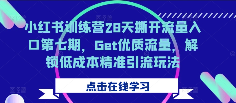 小红书训练营28天撕开流量入口第七期，Get优质流量，解锁低成本精准引流玩法-彼飞网创