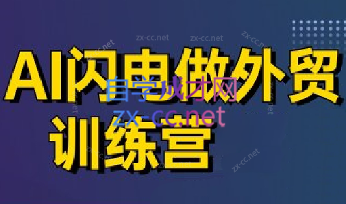 大卫·AI闪电做外贸训练营(更新6月)-彼飞网创