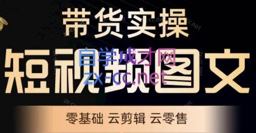 鑫哥·2024零基础短视频带货实操营-彼飞网创