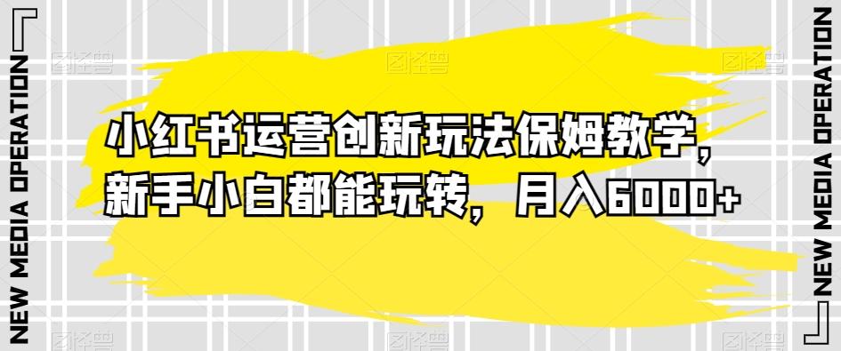小红书运营创新玩法保姆教学，新手小白都能玩转，月入6000+【揭秘】-彼飞网创