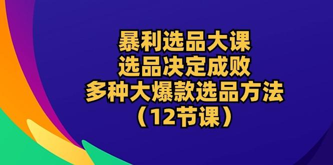 暴利 选品大课：选品决定成败，教你多种大爆款选品方法(12节课-彼飞网创