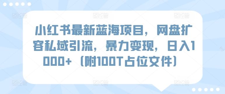 小红书最新蓝海项目，网盘扩容私域引流，暴力变现，日入1000+(附100T占位文件)【揭秘】-彼飞网创