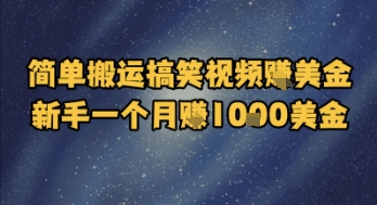 简单搬运搞笑视频挣美金，新手一个月入1k美金-彼飞网创