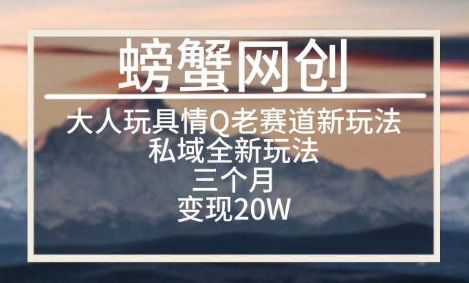 大人玩具情Q用品赛道私域全新玩法，三个月变现20W，老项目新思路【揭秘】-彼飞网创