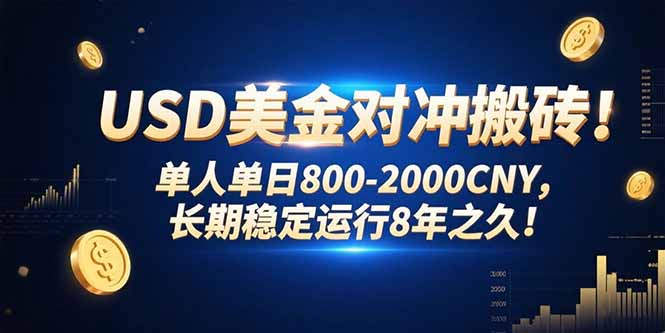 USD美金对冲搬砖!单人单日800-2000CNY，长期稳定运行8年之久!-彼飞网创